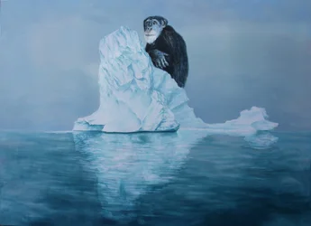 Chimpanzé num iceberg