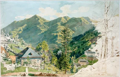 Vista de Gastein com pássaro Gamskar