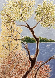 Paisagem do Lago no Outono