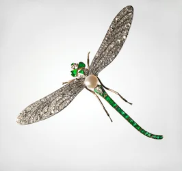 Broche em forma de libélula, final do século XIX