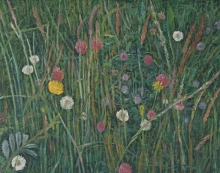 Plantas do Machair, 2008