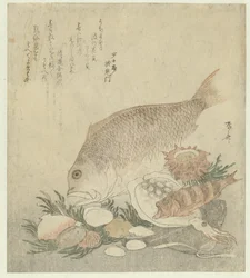 Peixes e conchas