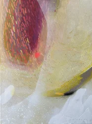 Fluxo Orgânico Vibrante