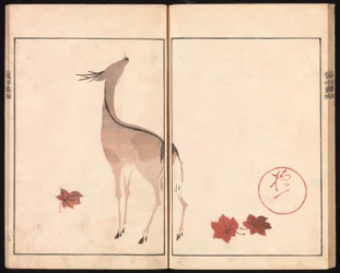 Álbum de imagens Ōson (Hōitsu) (Ōson gafu)