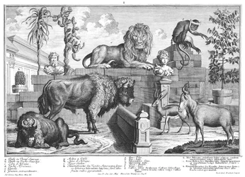 Par de leões e bisontes
