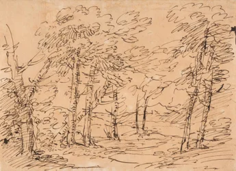 Paisagem com árvores e montanhas ao fundo