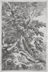 São Guilherme, o Eremita, c. 1662