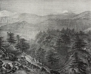 Vista do Monte Líbano com os seus famosos cedros, Líbano, litografia de Salvatore Puglia de Poliorama Pittoresco, n 10, 15 de Outubro