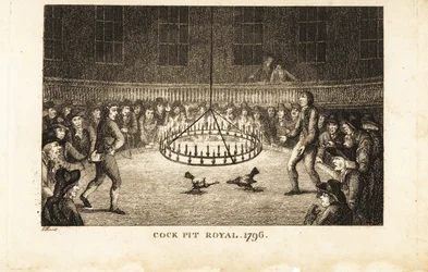 Jogadores que assistem a uma luta de galos à luz de velas no Cock Pit Royal, St.