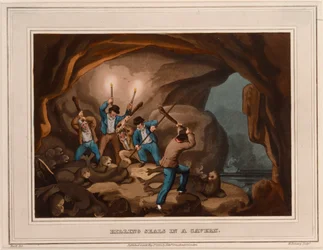 Matar focas numa caverna