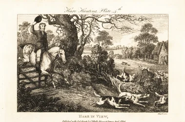 Caçador montado a saltar uma vedação atrás de um bando de cães de caça a perseguir uma lebre