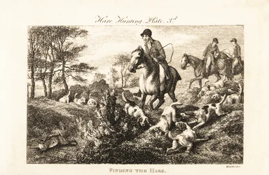 Caçadores montados observando como os cães de caça encontram uma lebre