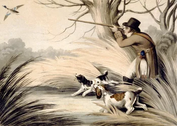 Shooting Duck, gravado por H. Merke, c.1809 (cor litho)