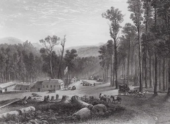 Austrália: Marysville, Vitória (gravura)