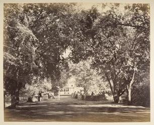 Um arco de árvores perto de Tanjore