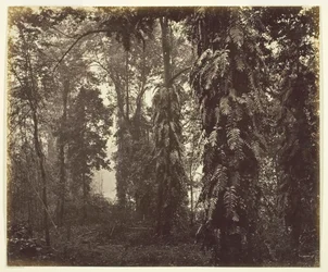 paisagem