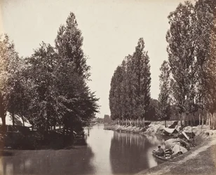 Rio com árvores (Índia)