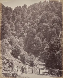 Shimla. Vista para norte do monte Jakko