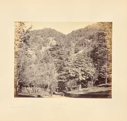 Simla; Jakko, de "Oakover" (Vista geral da estrada de Tonga)
