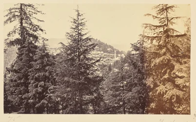 Simla; A igreja através das árvores, de Jakko