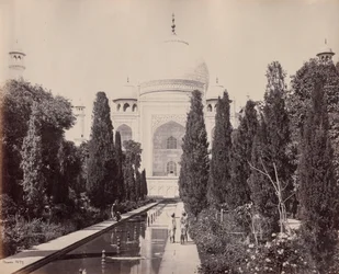 O Taj