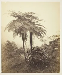 paisagem
