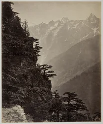 paisagem