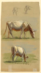 Desenho, Gado, Duas vacas a pastar e o dorso de vitelos, 1875-80