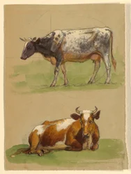 Desenho, Gado, uma vaca a andar e uma vaca agachada, 1875-80