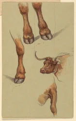 Desenho, Esboços de Narragensett, Rhode Island, 1871