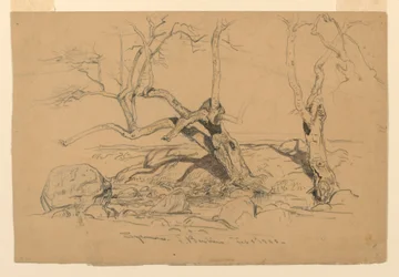 Desenho, Estudos. Árvores, Santa Barbara, Califórnia, 3 de fevereiro de 1888