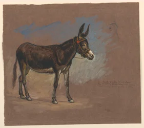 Desenho, Estudo. Uma mula, 1872-75
