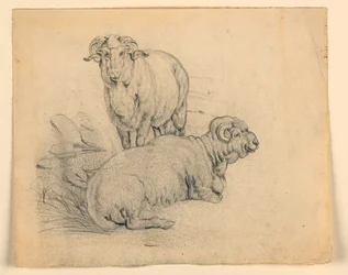 Desenho, Estudo. Dois carneiros, ca. 1850