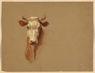 Desenho, Dois estudos.  Gado, 1876
