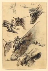 Esboços de gado, Irvington