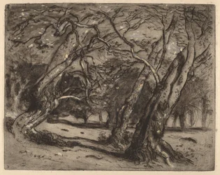 Sem título (Paisagem Arborizada)