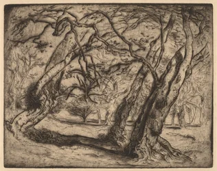Sem título (Paisagem Arborizada)
