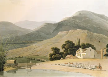 Casa de Boor, placa 16 de &39;Paisagem Africana e Animais&39;, gravada pelo artista, 1805 (aquatint)