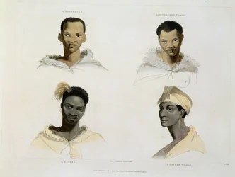 Um hotentote, uma mulher hotentote, um kaffre, uma mulher do Kaffre: quatro vinhetas de cabeça e ombros, prato 14 de "Paisagem e Animais Africanos", gravado pelo artista, 1804 (aquatint)
