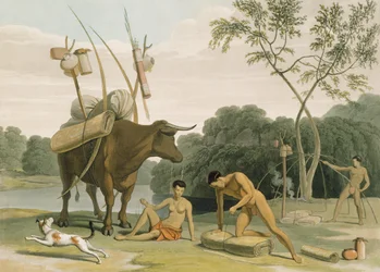Korah Hottentots Preparing to Remove, prato 20 de &39;African Scenery and Animals&39;, gravado pelo artista, 1805 (aquatint)