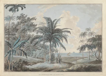 Perto de Eucheconing Point, Java