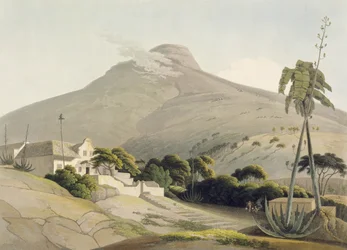 Vista da cabeça do leão, placa 28 de &39;Africano paisagem e animais&39;, gravada pelo artista, 1805 (aquatint)