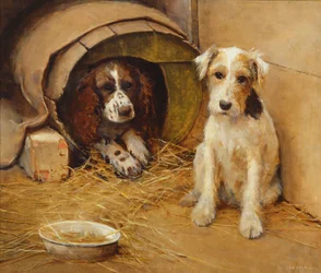 Na casa de cachorro