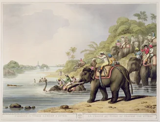 Perseguindo um tigre através do rio, da Oriental Field Sports, pub. por Edward Orme, 1807 (impressão)