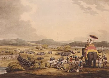 Driving Elephants Into A Keddah, de "Oriental Field Sports", pub. por Edward Orme