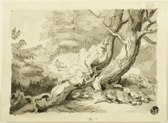 Caça à Raposa