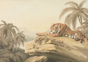 Um tigre em repouso: o frontispício para "Oriental Field Sports"