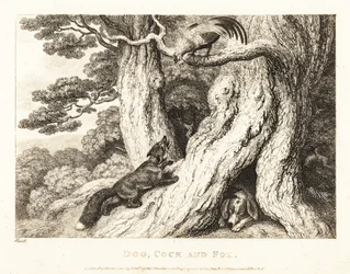Um galo numa árvore engana uma raposa, enquanto um cão dorme. 1811