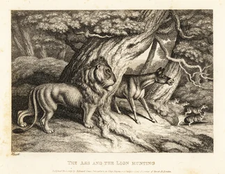 Um burro zurra alto na presa enquanto caça com um leão. 1811 (gravura)