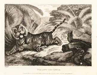 Uma raposa observa um tigre ferido. 1811 (gravura)